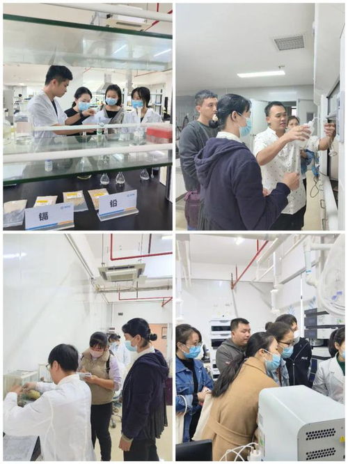 提升專業(yè)技能，守護食品安全——海南省食品安全協(xié)會成功舉辦2024年度食品檢驗員職業(yè)技能培訓(xùn)班